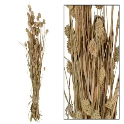 Droogbloem Manerba wit