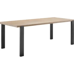 Eettafel Adanti 160x90 cm rechthoekig